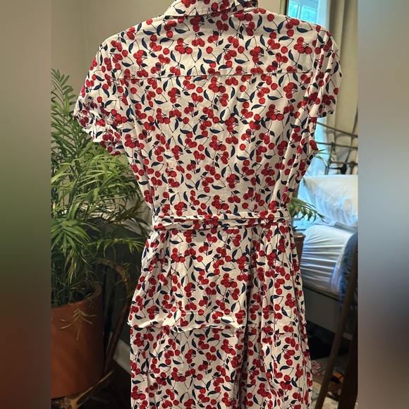 Beautiful Cherry Dress - Size 6 - Picture 7 of 8